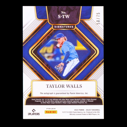 Taylor Walls 2022 Select Signatures Holo Rays 50/75