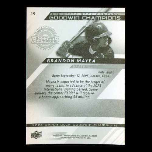 Brandon Mayea 2022 Upper Deck Goodwin Champions Yankees