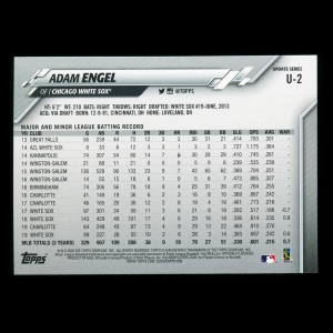 Adam Engel 2020 Topps Rainbow Foil White Sox