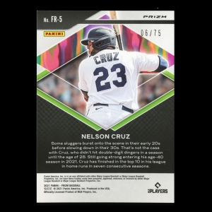 Nelson Cruz 2021 Prizm Fearless Power Plaid Twins 06/75