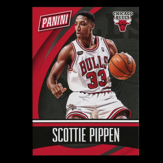 Scottie Pippen 2015 National Convention Team Colors Bulls