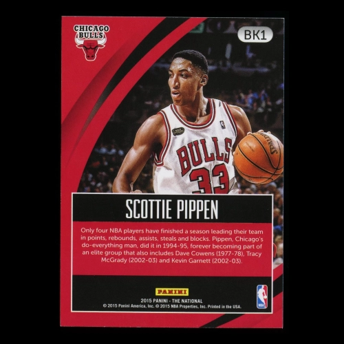 Scottie Pippen 2015 National Convention Team Colors Bulls
