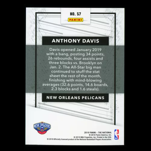 Anthony Davis 2019 The National Pelicans