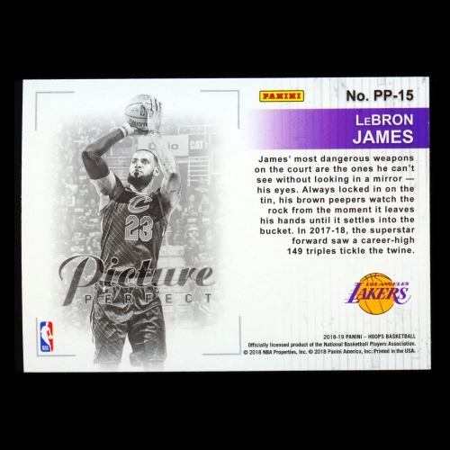 LeBron James 2018-19 Hoops Picture Perfect Lakers