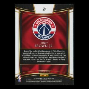Troy Brown Jr. RC 2018-19 Select Rookie Wizards