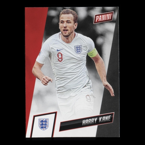 Harry Kane 2019 The National England